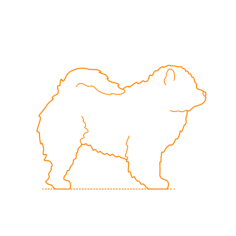 Animals Dogs Chow Chow Sticker Svg Vector, Free Vectors File